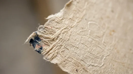 Examen minutieux d'une estampe japonaise traditionnelle révélant les détails du papier washi et les marques d'authenticité